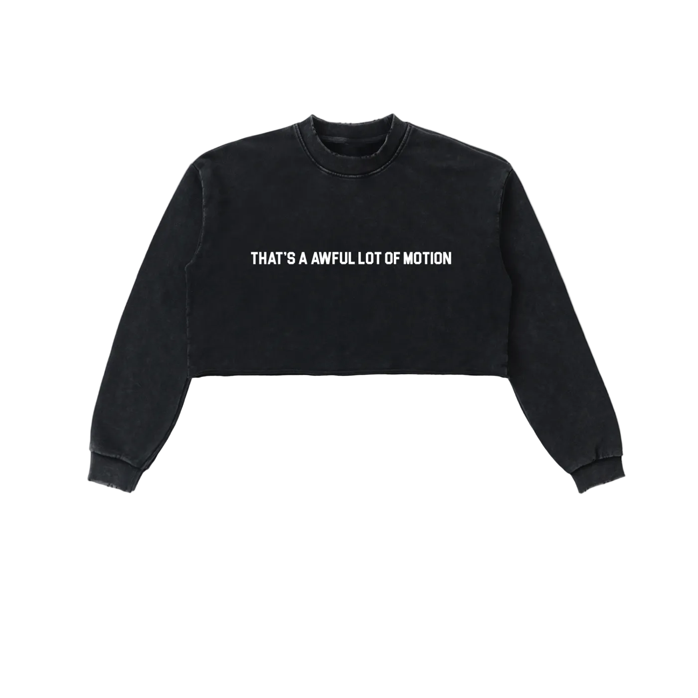 Awful Lot Of Motion Cropped Sweatshirt